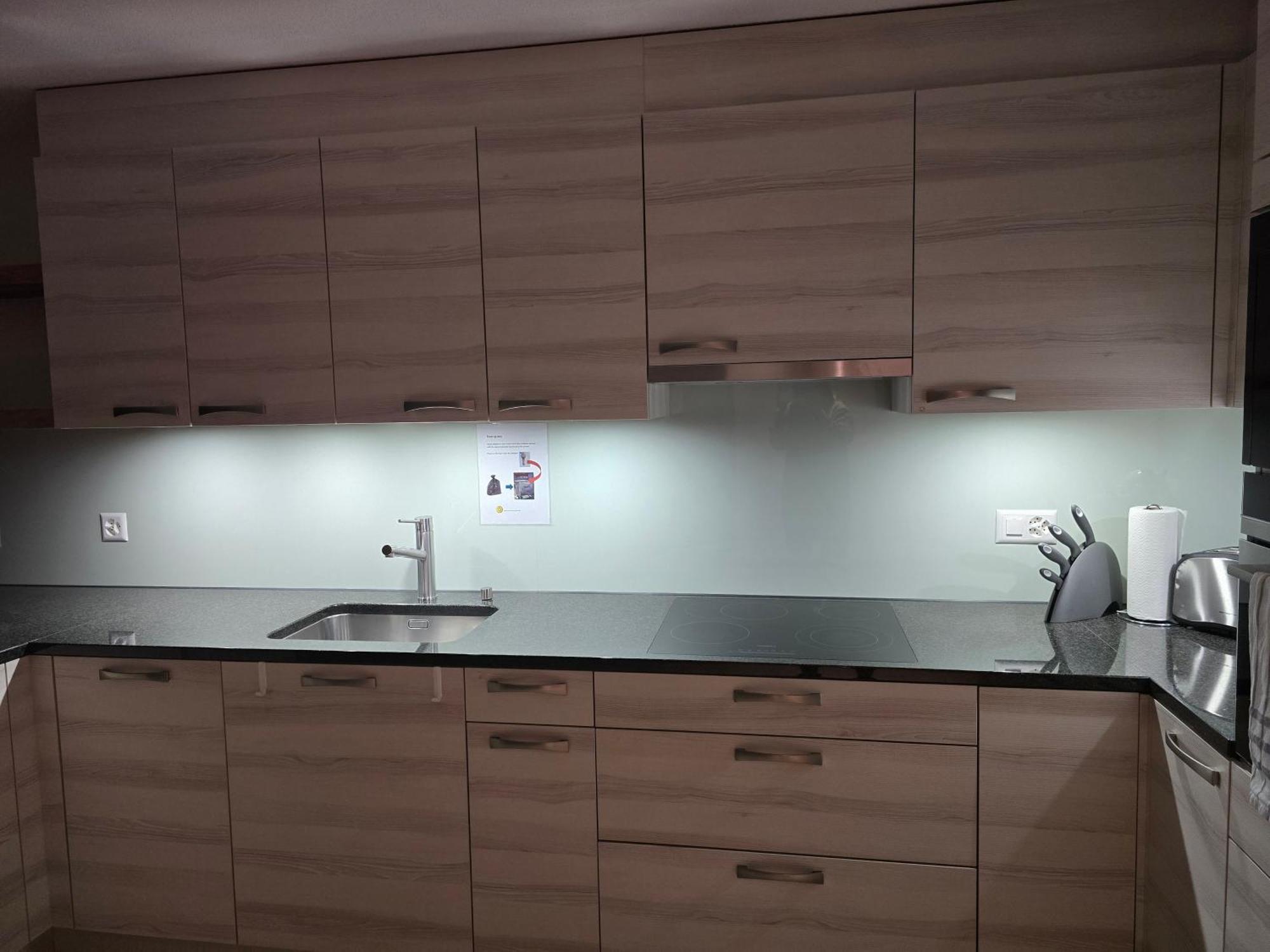 Harder Apartment - Aare Jungfrau Ag Вильдерсвиль Экстерьер фото