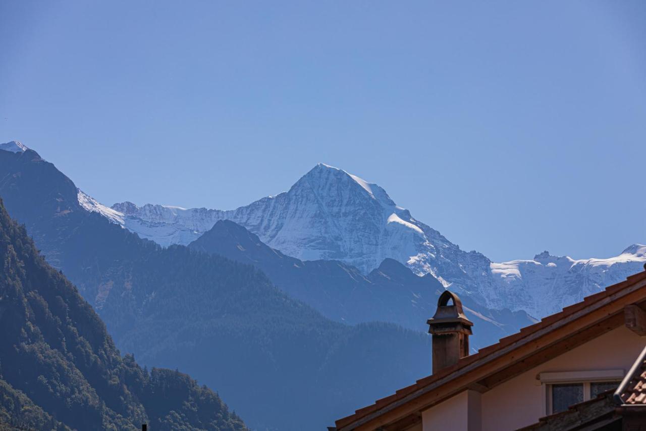 Harder Apartment - Aare Jungfrau Ag Вильдерсвиль Экстерьер фото